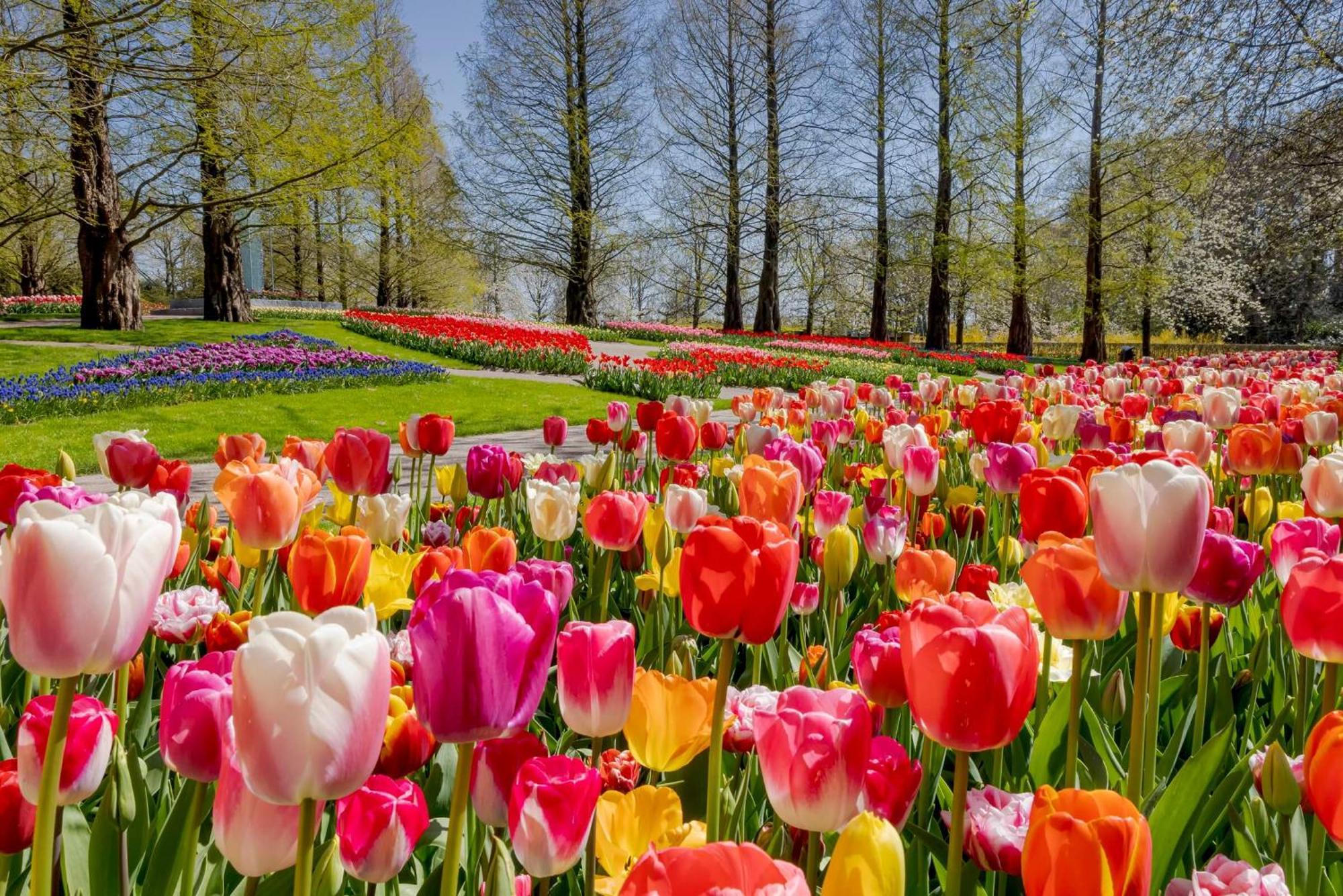 Heerehuys Lisse Villa Екстериор снимка